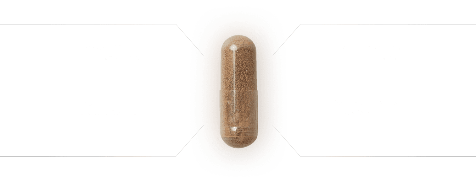 Product highlight visualization