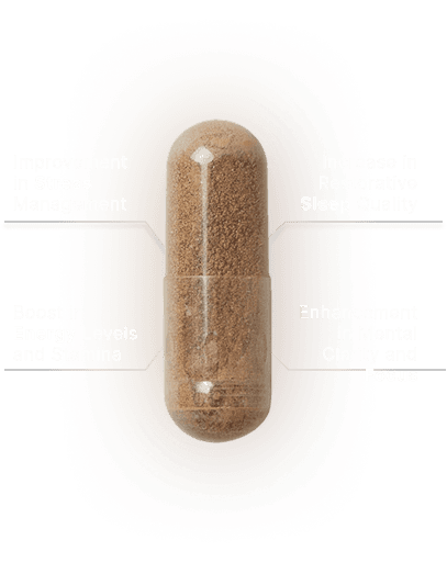 Product highlight visualization